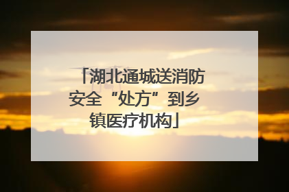 湖北通城送消防安全“处方”到乡镇医疗机构