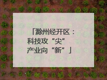 滁州经开区：科技攻“尖” 产业向“新”