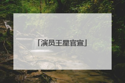 演员王星官宣