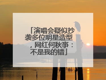 演唱会疑似抄袭多位明星造型，网红何秋亊：不是我的错
