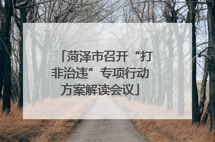 菏泽市召开“打非治违”专项行动方案解读会议