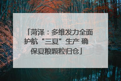 菏泽：多维发力全面护航“三夏”生产 确保夏粮颗粒归仓