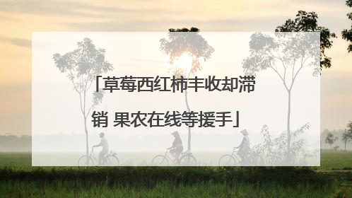 草莓西红柿丰收却滞销 果农在线等援手