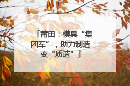 莆田：模具“集团军”，助力制造变“质造”