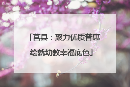 莒县：聚力优质普惠 绘就幼教幸福底色