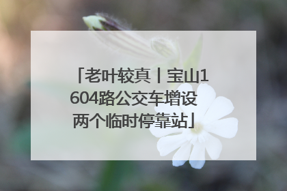 老叶较真丨宝山1604路公交车增设两个临时停靠站