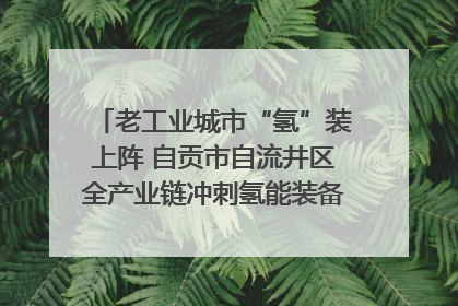 老工业城市“氢”装上阵 自贡市自流井区全产业链冲刺氢能装备制造新高地｜美好生活有“盐”味