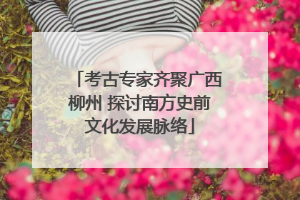 考古专家齐聚广西柳州 探讨南方史前文化发展脉络
