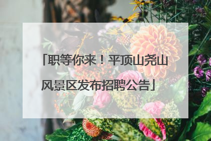 职等你来！平顶山尧山风景区发布招聘公告