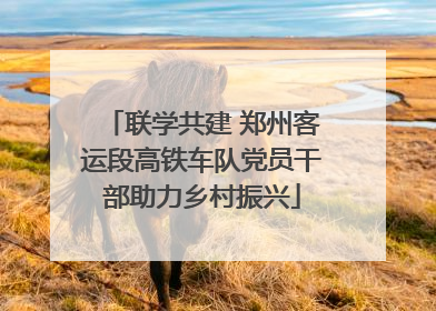 联学共建 郑州客运段高铁车队党员干部助力乡村振兴