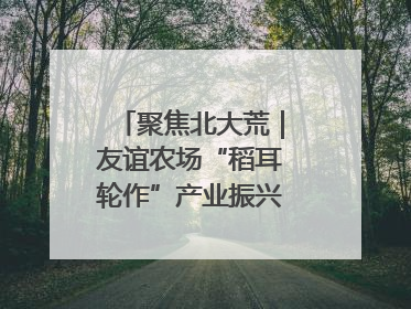 聚焦北大荒｜友谊农场“稻耳轮作”产业振兴“花开两朵”