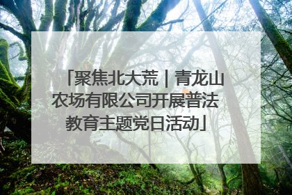 聚焦北大荒｜青龙山农场有限公司开展普法教育主题党日活动