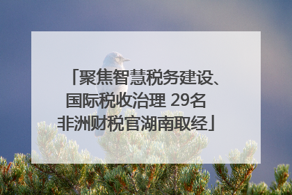 聚焦智慧税务建设、国际税收治理 29名非洲财税官湖南取经