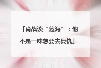 肖战谈“藏海”：他不是一味想要去复仇