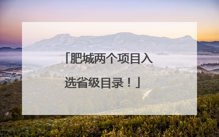 肥城两个项目入选省级目录！