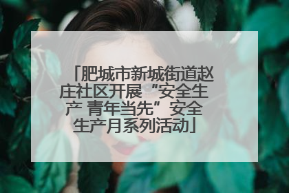 肥城市新城街道赵庄社区开展“安全生产 青年当先”安全生产月系列活动