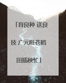 育良种 送良技 广元旺苍稻田插秧忙