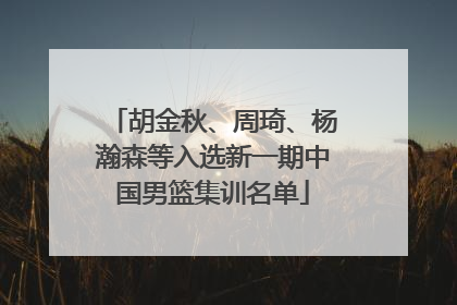 胡金秋、周琦、杨瀚森等入选新一期中国男篮集训名单