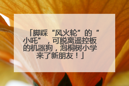 脚踩“风火轮”的“小吒”，可脱离遥控板的机器狗，泡桐树小学来了新朋友！