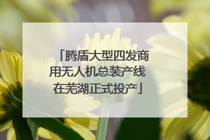 腾盾大型四发商用无人机总装产线在芜湖正式投产