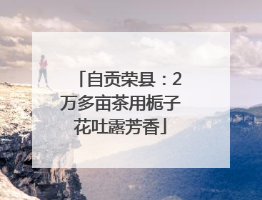 自贡荣县：2万多亩茶用栀子花吐露芳香