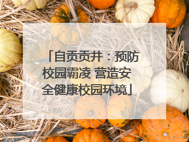 自贡贡井：预防校园霸凌 营造安全健康校园环境