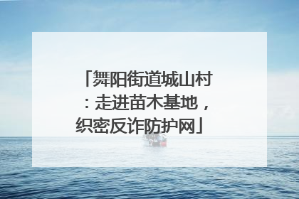 舞阳街道城山村：走进苗木基地，织密反诈防护网