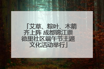 艾草、粽叶、木箭齐上阵 成都锦江崇德里社区端午节主题文化活动举行