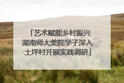 艺术赋能乡村振兴 湖南师大美院学子深入土坪村开展实践调研