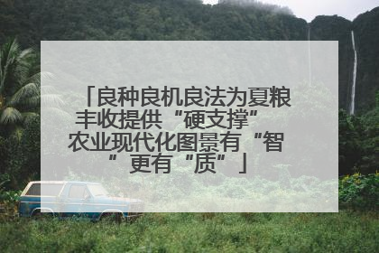 良种良机良法为夏粮丰收提供“硬支撑” 农业现代化图景有“智”更有“质”