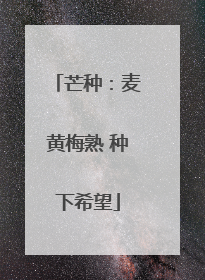 芒种：麦黄梅熟 种下希望