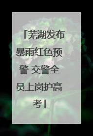 芜湖发布暴雨红色预警 交警全员上岗护高考