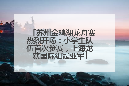 苏州金鸡湖龙舟赛热烈开场：小学生队伍首次参赛，上海龙获国际组冠亚军