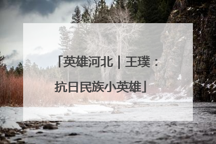 英雄河北｜王璞：抗日民族小英雄