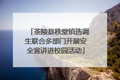 茶陵县秩堂镇选调生联合多部门开展安全宣讲进校园活动