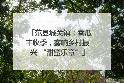 范县城关镇：香瓜丰收季，奏响乡村振兴 “甜蜜乐章”