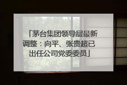 茅台集团领导层最新调整：向平、张贵超已出任公司党委委员