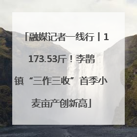 融媒记者一线行丨1173.53斤！李鹊镇“三作三收”首季小麦亩产创新高