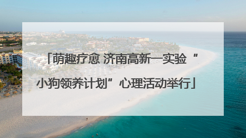 萌趣疗愈 济南高新一实验“小狗领养计划”心理活动举行
