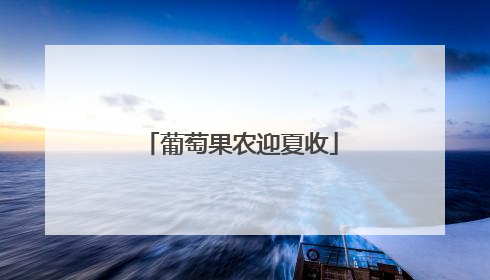 葡萄果农迎夏收