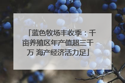蓝色牧场丰收季：千亩养殖区年产值超三千万 海产经济活力足
