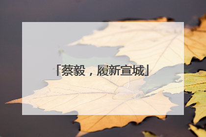 蔡毅，履新宣城