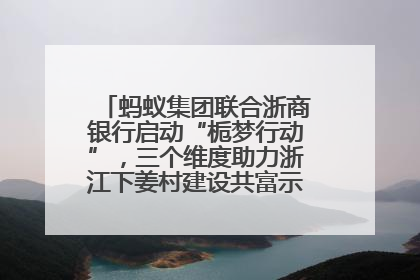 蚂蚁集团联合浙商银行启动“栀梦行动”，三个维度助力浙江下姜村建设共富示范区示范点