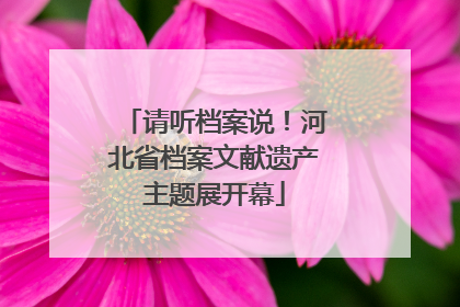 请听档案说！河北省档案文献遗产主题展开幕