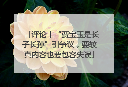 评论丨“贾宝玉是长子长孙”引争议，要较真内容也要包容失误