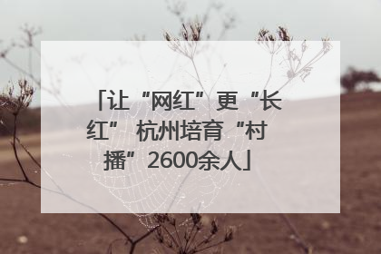 让“网红”更“长红” 杭州培育“村播”2600余人