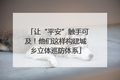 让“平安”触手可及！他们这样构建城乡立体巡防体系