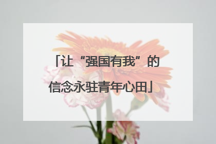 让“强国有我”的信念永驻青年心田