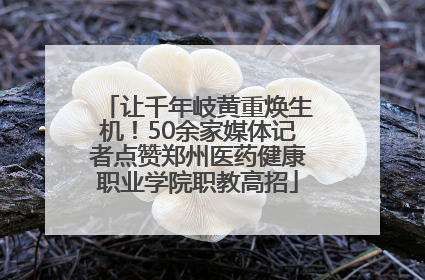 让千年岐黄重焕生机！50余家媒体记者点赞郑州医药健康职业学院职教高招