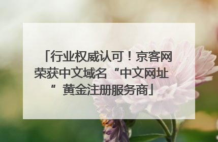行业权威认可！京客网荣获中文域名“中文网址”黄金注册服务商